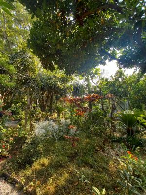 Botanická zahrada Ravino 