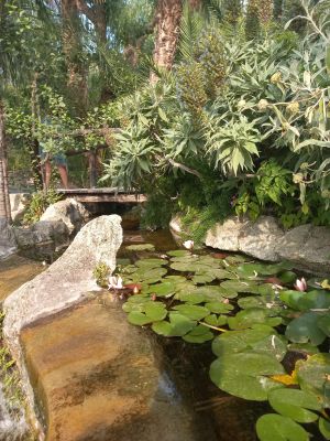 Botanická zahrada Ravino 